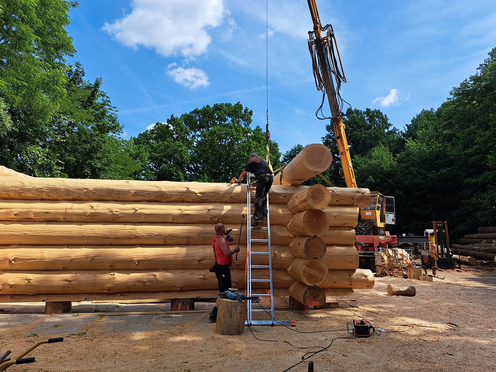 Ein Haus wie aus dem Wald geschnitzt – Exkursion zu Albrecht Blockhausbau in Gräben
